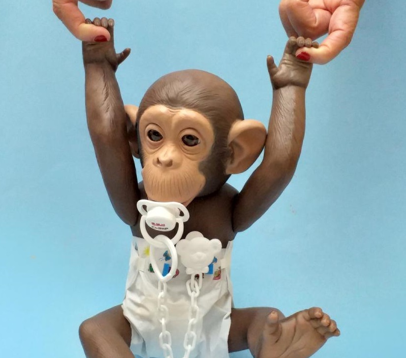 BabyChimp